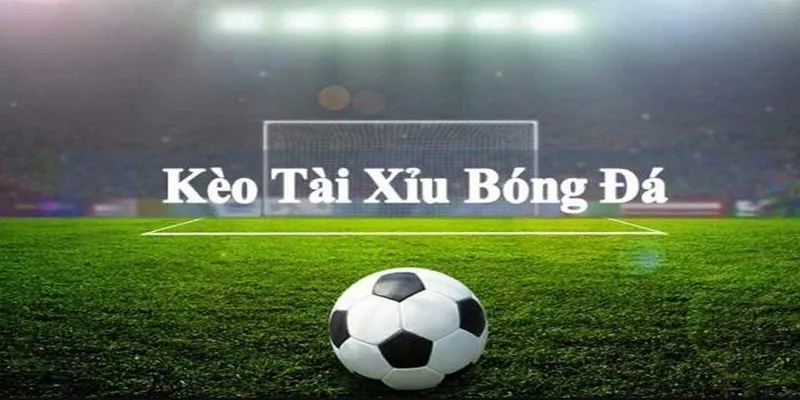 Kèo tài xỉu luôn hot từ xưa đến nay